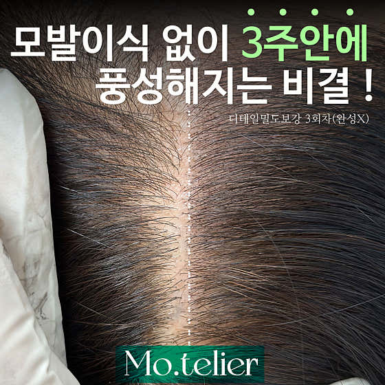 Motelier