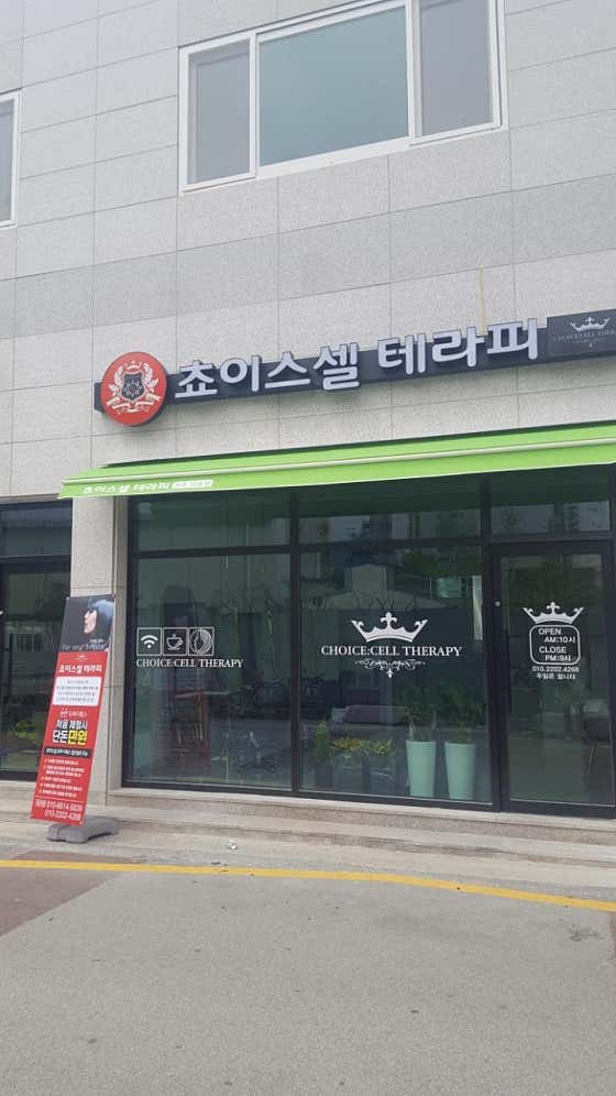 쵸이스셀테라피