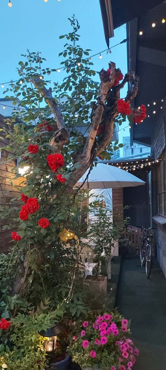 큐사랑 연산토곡점