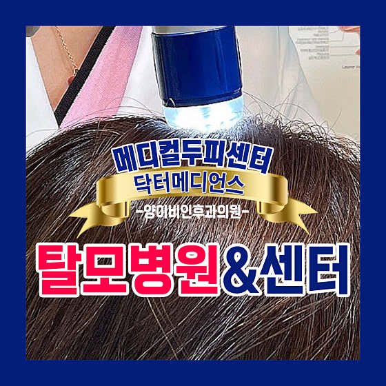 닥터메디언스 대전두피