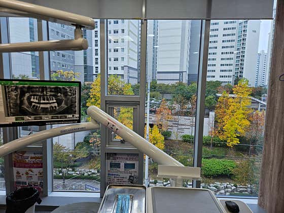메트로치과의원치과