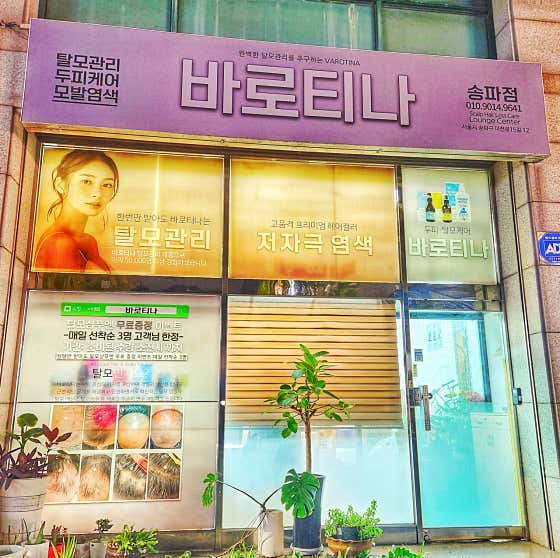 바로티나 송파점머리염색