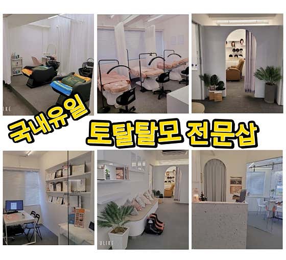 Enjoy the Attention Total Hair Loss Scalp Cover Specialty Shop
