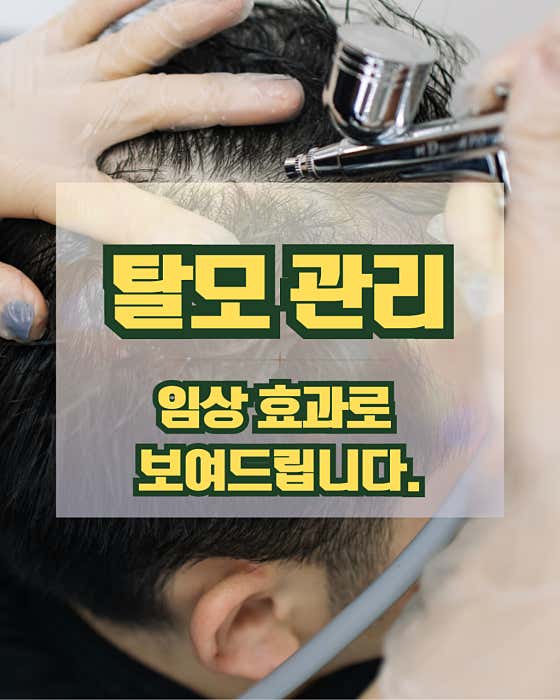 아우르다