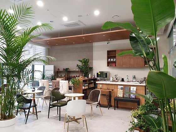 Yeongdam Korean Medicine Clinic