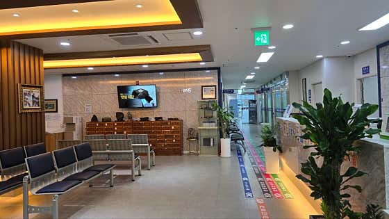 Saesol東方醫學醫院