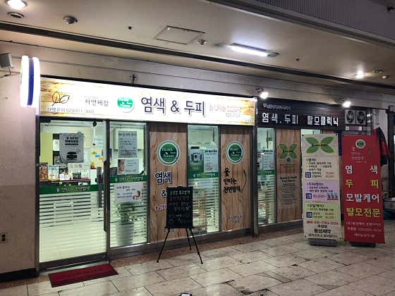 옻안타는천연염색 주엽점