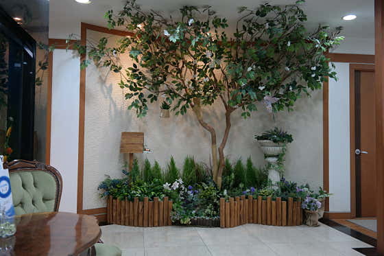 Yongin Ye Dental Clinic