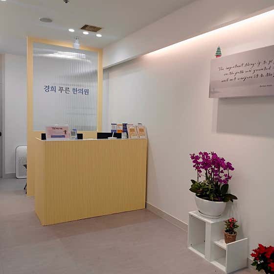 Kyunghee Pureun Korean Medicine Clinic