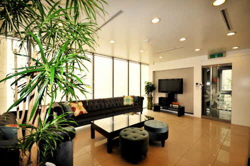 V-Line Plastic Surgery Clinic