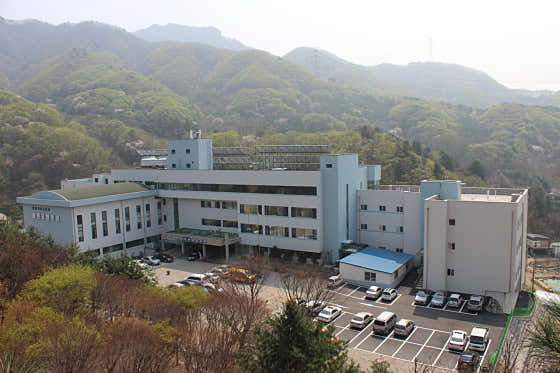 Eden Nursing Hospital