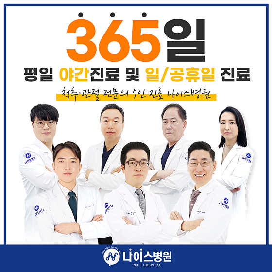 Nice Hospital