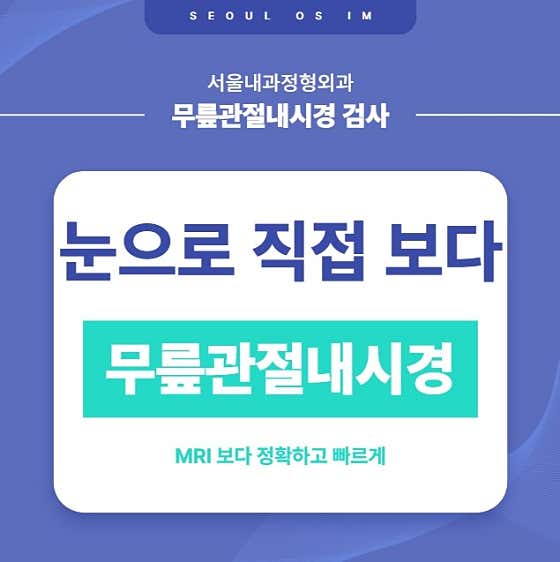 Seoul Internal Medicine and Orthopedics Clinic