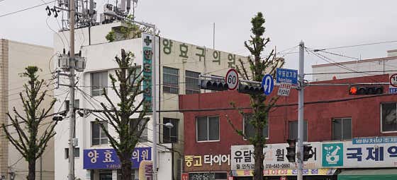 양효구의원