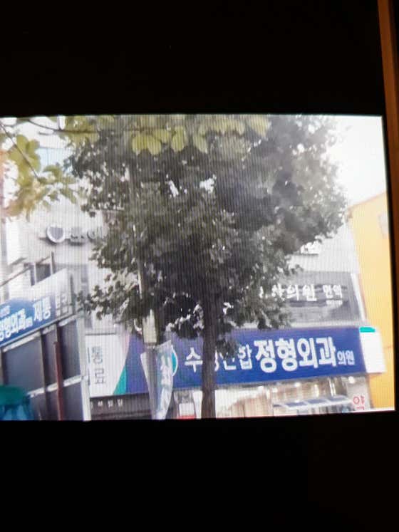 수성연합정형외과의원