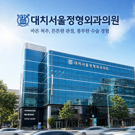 Daechi Seoul Orthopedic Clinic