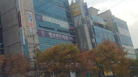 램브란트치과의원
