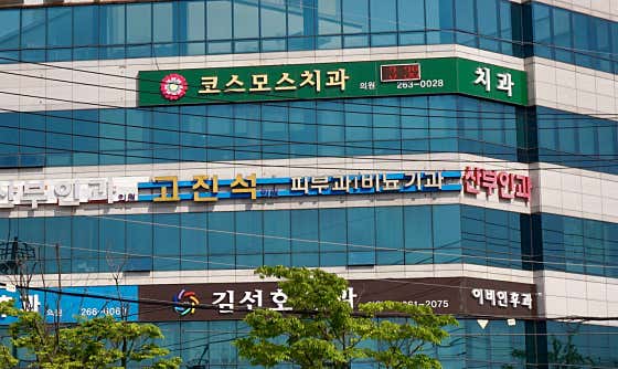 고진석의원