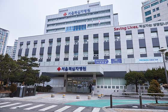 서울적십자병원