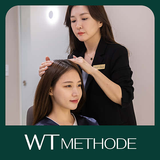 WT 方法江南分部