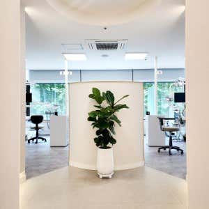 Yonsei Boston Dental Clinic