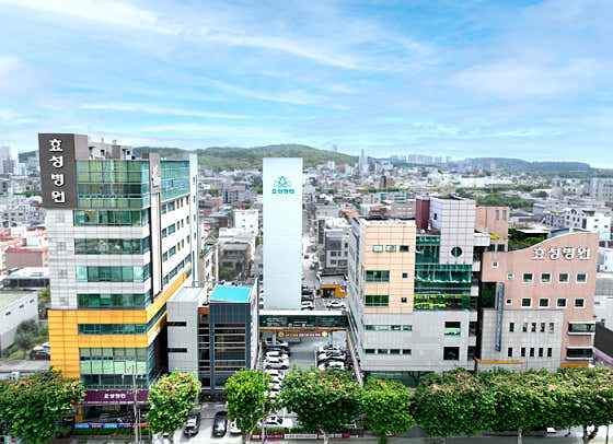 Hyosung Hospital