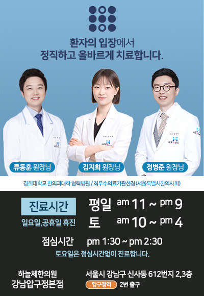 Haneulche 韓醫診所江南狎鷗亭總院