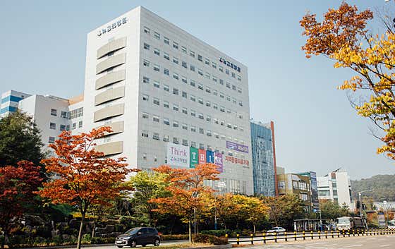 新高麗醫院