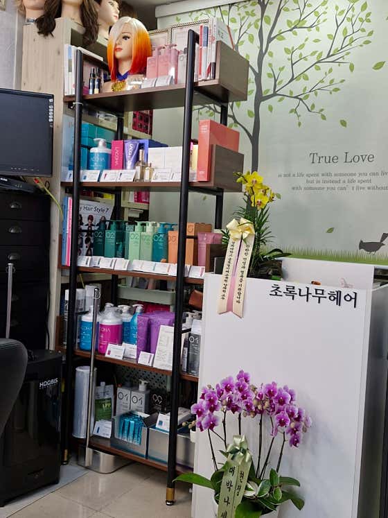 초록나무헤어