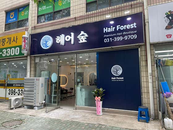 Hair Forest