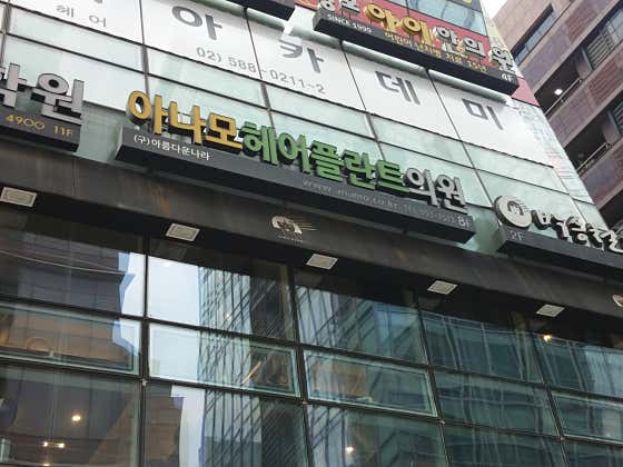 아나모헤어플란트의원