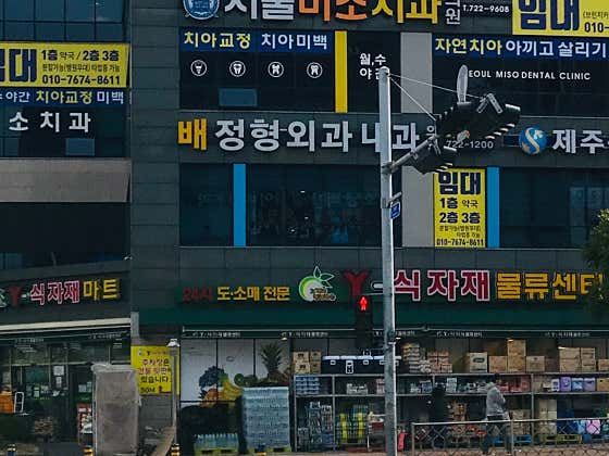 배정형외과내과의원