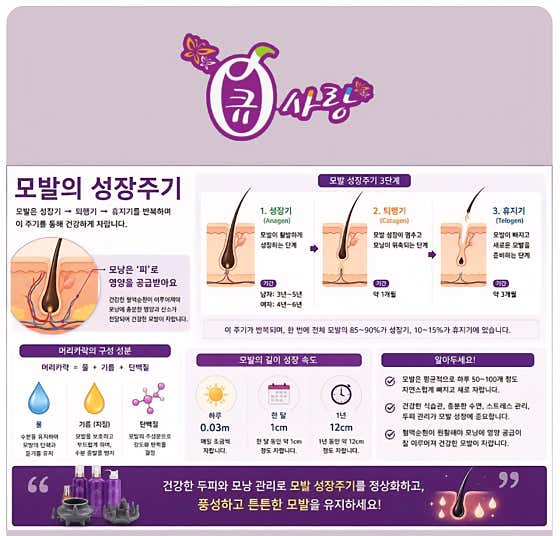 큐사랑 도안아이파크점