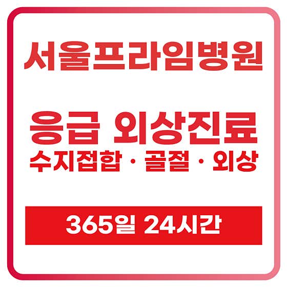 Seoul Prime Hospital