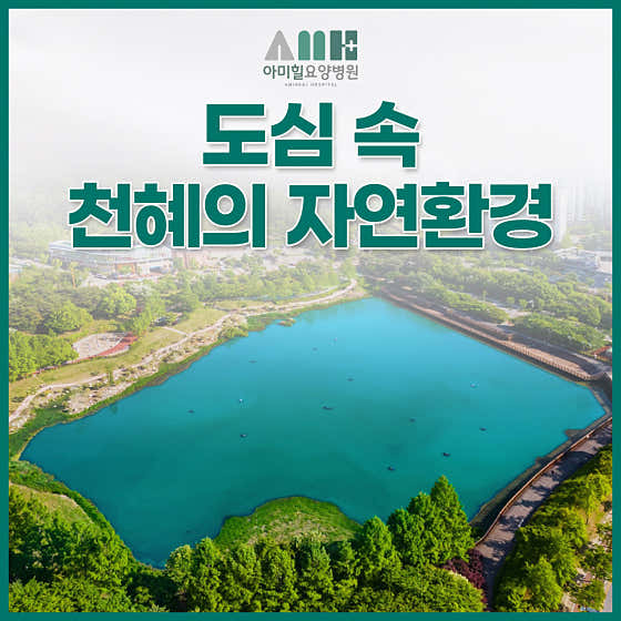 Amihill Nursing Hospital