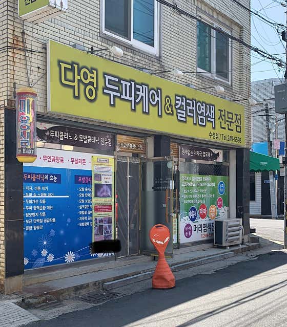 Dayoung Scalp Care & Color Dye Suseong Branch