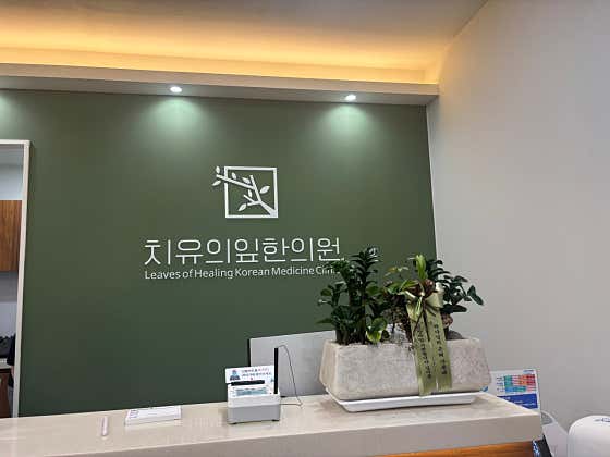 치유의잎한의원