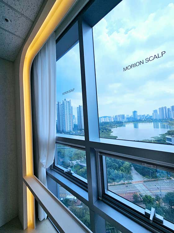 Morion Scalp & Hair Loss Gwanggyo Branch