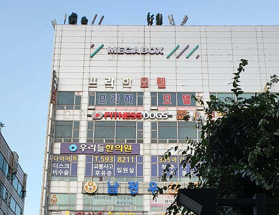 Wooridul 韓醫診所