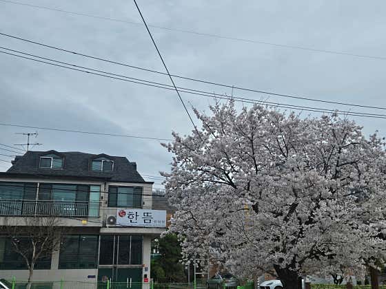 Hantteum Korean Medicine Clinic
