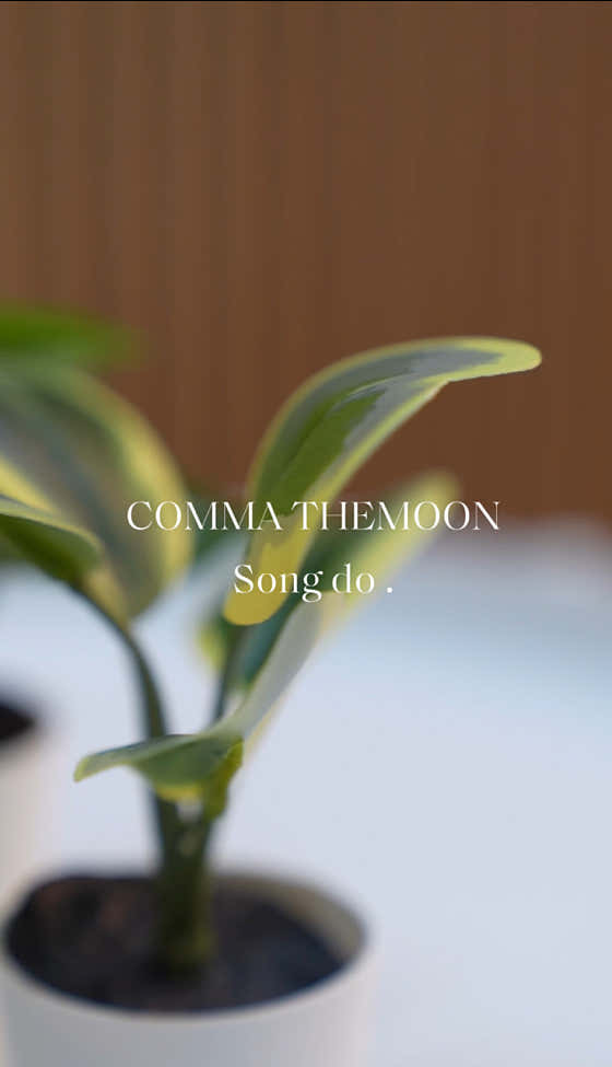 Comma the Moon Songdo
