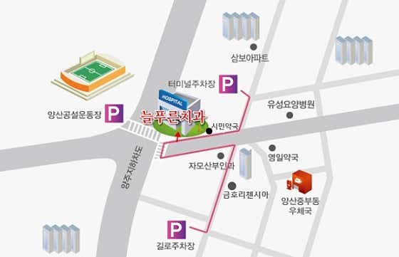 Neulpureun Dental Clinic