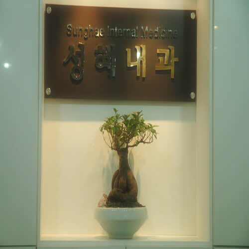 성혜내과의원