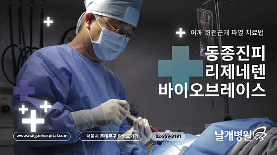 날개병원