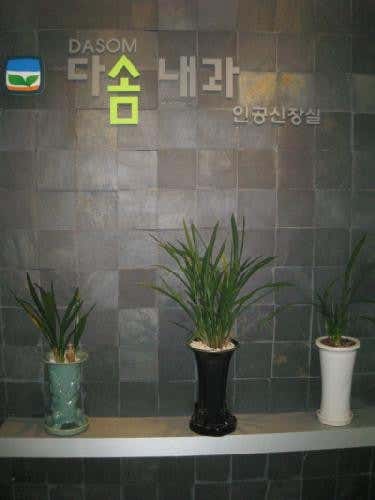 다솜내과의원