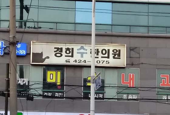 경희수한의원