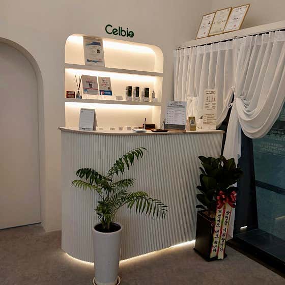 Selvio Gimpo Janggi Branch