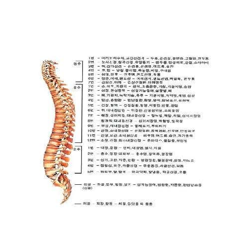 Won Buddhism Station Bohwadang Korean Medicine Clinic