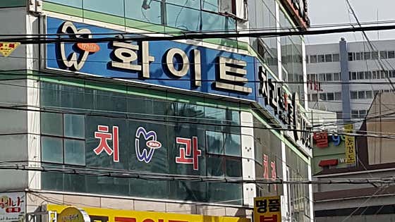 화이트치과의원치과