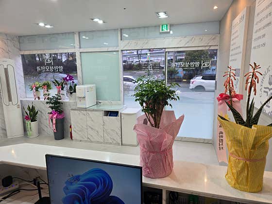 哈曼聖瑪麗眼科診所